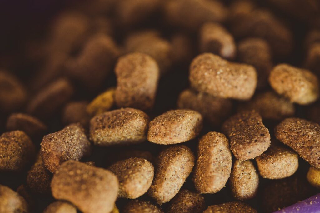 Detailed shot of brown dog kibble, perfect for pet owners and animal nutrition visuals.